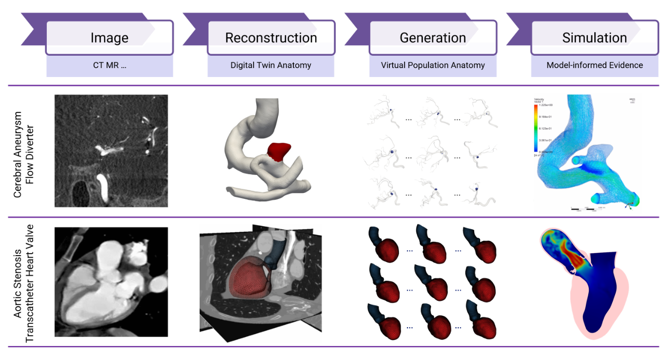 Anatomical mesh generation framework