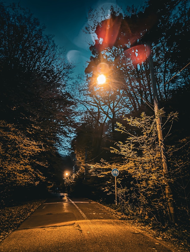 Street with night lights in the forest