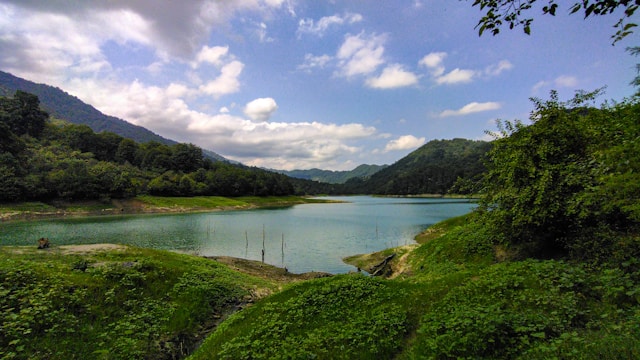 Lake and forest landscape