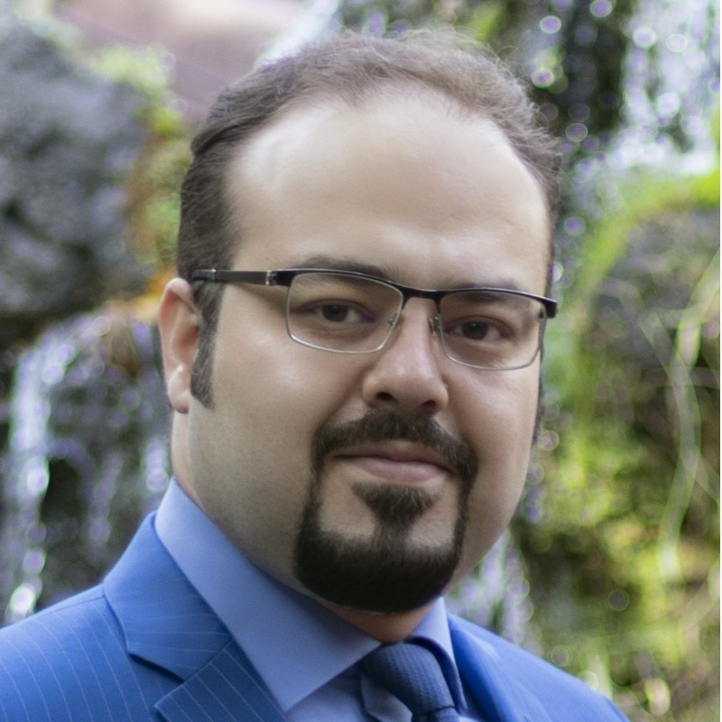 Portrait of Shahabedin Nabavi